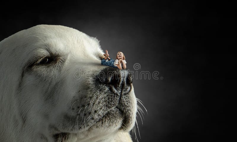 Niña pequeña y perro gigante imagenes de archivo