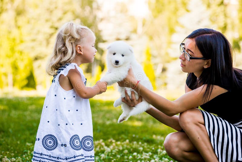 Niña que besa su raza del samoyedo del perrito foto de archivo Niña que besa su raza del samoyedo del perrito foto de archivo