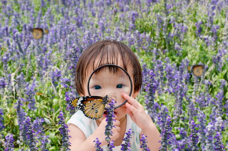 Little Asian girl looking at butterfly with magnifying glass in flower garden. Little Asian girl looking at butterfly with magnifying glass in flower garden