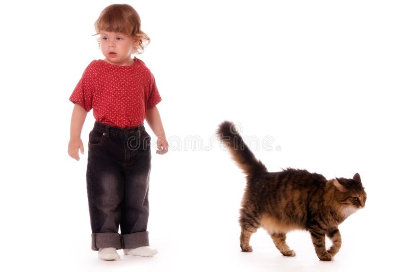Little girl and cat isolated on white background. Little girl and cat isolated on white background