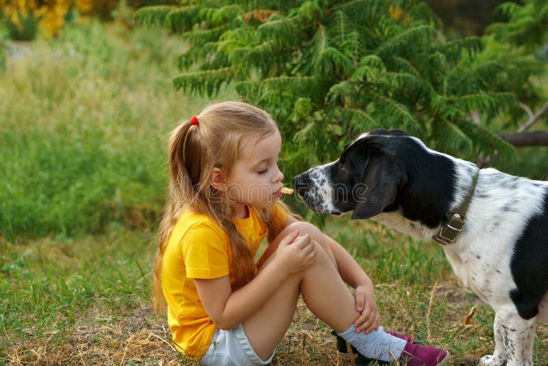 Niña y perro mestizo al aire libre imagen de archivo Niña y perro mestizo al aire libre imagen de archivo
