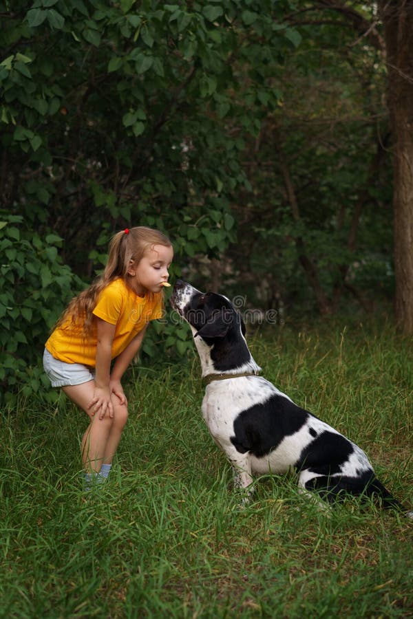 Niña y perro mestizo al aire libre fotografía de archivo libre de regalías Niña y perro mestizo al aire libre fotografía de archivo libre de regalías