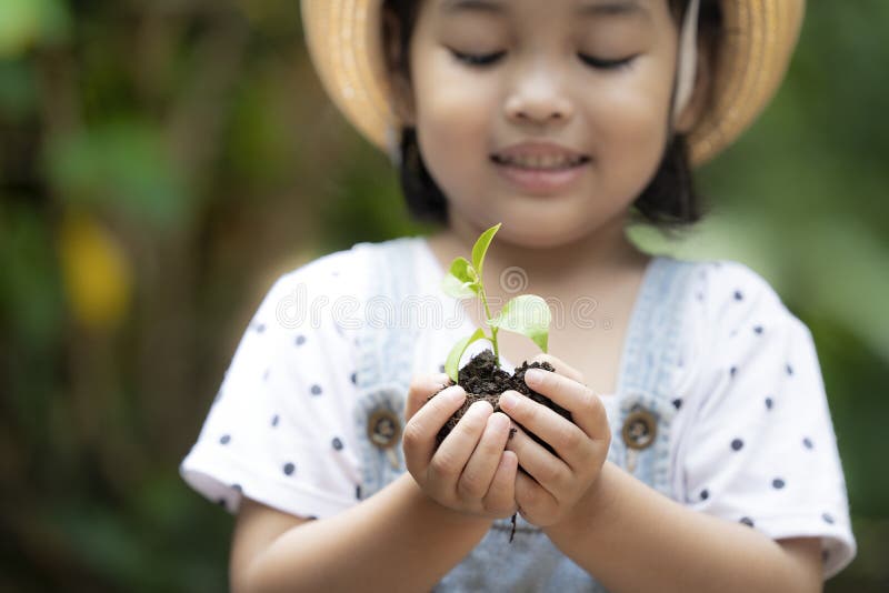 Niño asiático que sostiene la planta verde joven a disposición fotografía de archivo libre de regalías Niño asiático que sostiene la planta verde joven a disposición fotografía de archivo libre de regalías