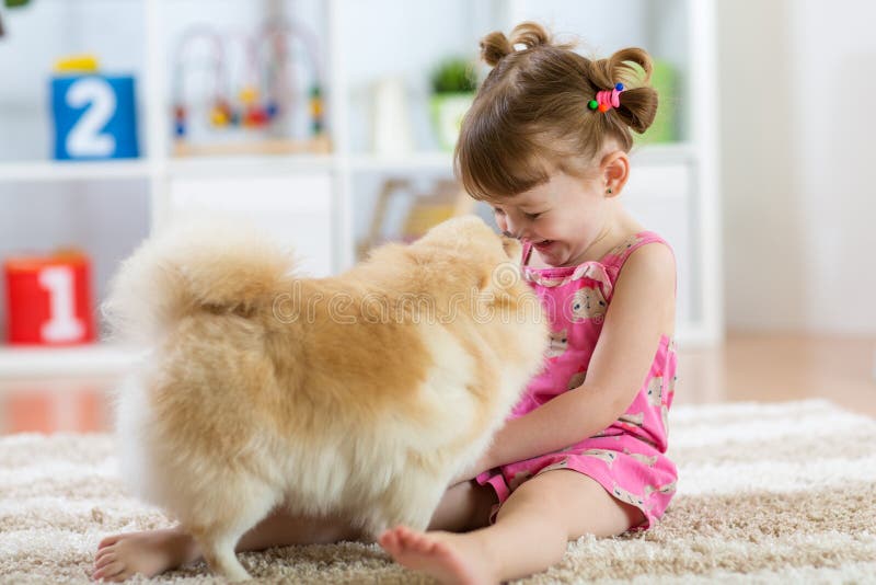 Niño divertido con el perro de Pomerania del perro en casa