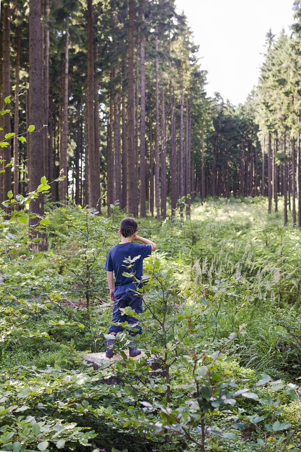Niño en bosque fotografía de archivo Niño en bosque fotografía de archivo