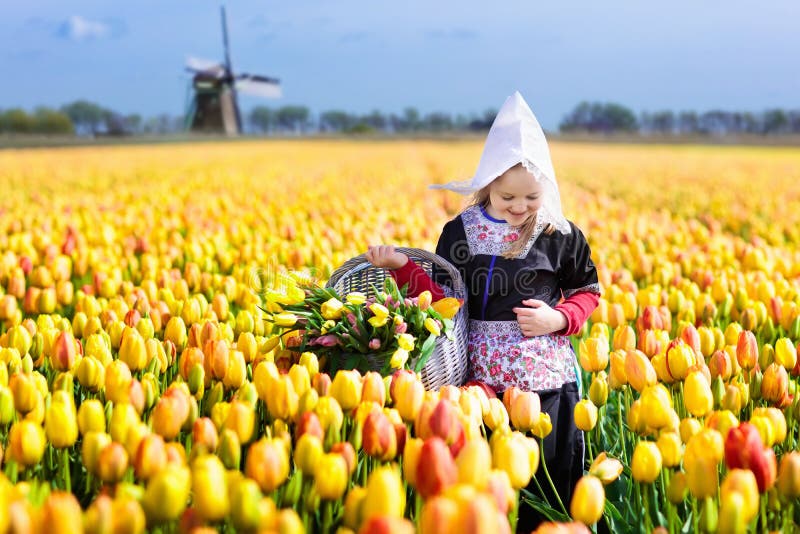 Niño en campo de flor del tulipán Molino de viento en Holanda
