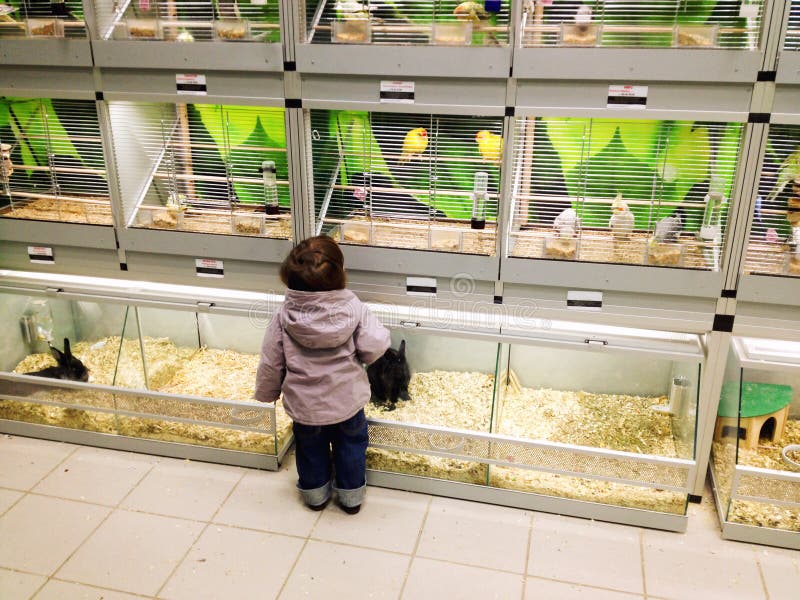 Niño en la tienda de animales Niño en la tienda de animales