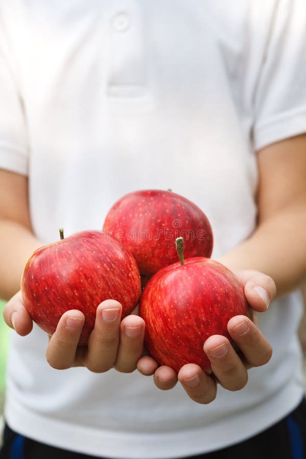 Niño irreconocible que sostiene manzanas rojas en manos foto de archivo Niño irreconocible que sostiene manzanas rojas en manos foto de archivo