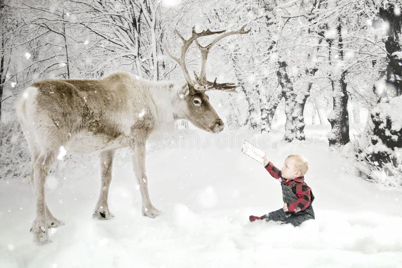 Niño pequeño con el reno en nieve imágenes de archivo libres de regalías Niño pequeño con el reno en nieve imágenes de archivo libres de regalías