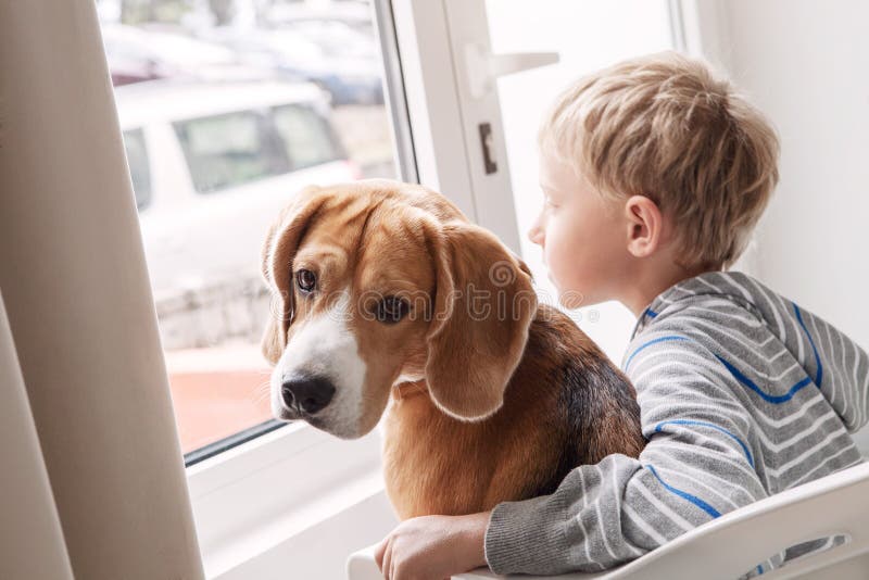 Niño pequeño con su amigo del perrito que espera junto cerca del windo fotos de archivo libres de regalías Niño pequeño con su amigo del perrito que espera junto cerca del windo fotos de archivo libres de regalías