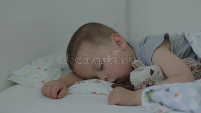 Niño pequeño durmiendo retrato de bebé abrazando juguete peluca cabra azul manta blanca