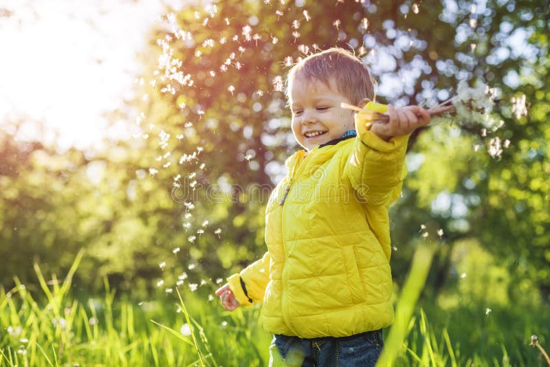 Niño pequeño feliz que sostiene los dientes de león imagen de archivo libre de regalías Niño pequeño feliz que sostiene los dientes de león imagen de archivo libre de regalías