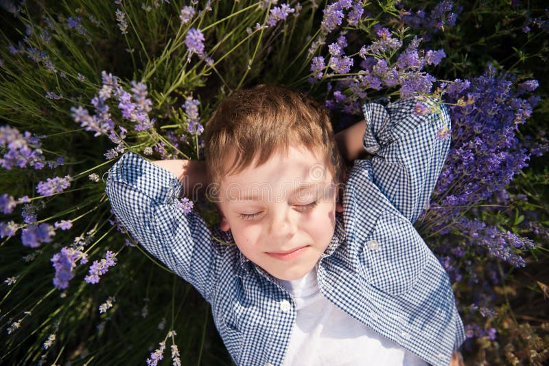 Niño pequeño lindo que miente entre las flores en prado del flor en ocio del día de verano imágenes de archivo libres de regalías Niño pequeño lindo que miente entre las flores en prado del flor en ocio del día de verano imágenes de archivo libres de regalías
