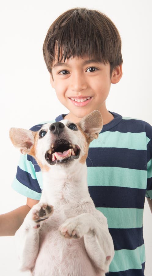 Niño pequeño que juega con su enchufe Russel del perro del amigo en blanco fotografía de archivo Niño pequeño que juega con su enchufe Russel del perro del amigo en blanco fotografía de archivo