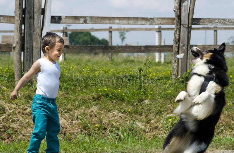 Niño pequeño que juega con su perro imagen de archivo libre de regalías Niño pequeño que juega con su perro imagen de archivo libre de regalías