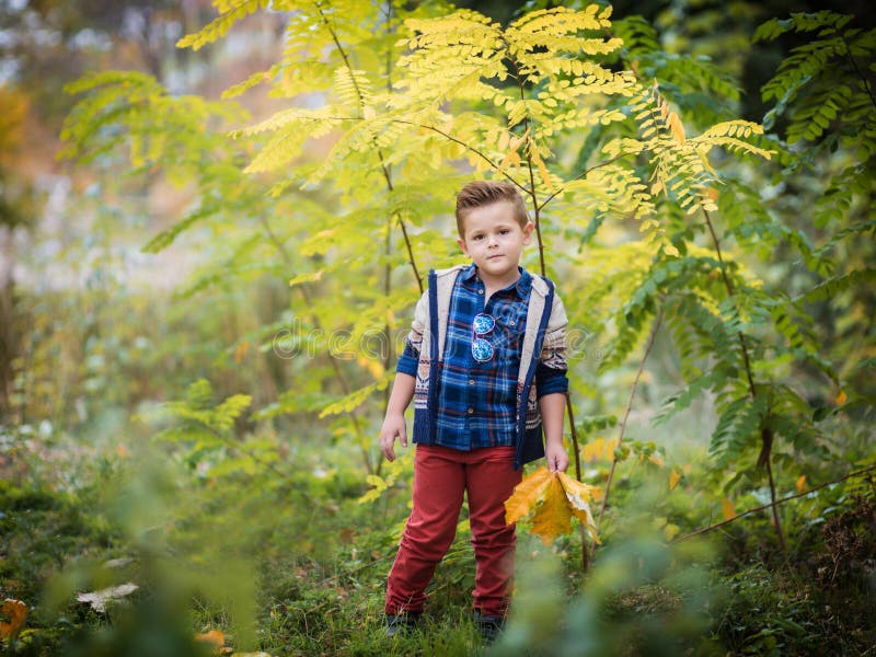 Niño pequeño que juega en follaje amarillo Otoño en el parque de la ciudad imagen de archivo Niño pequeño que juega en follaje amarillo Otoño en el parque de la ciudad imagen de archivo