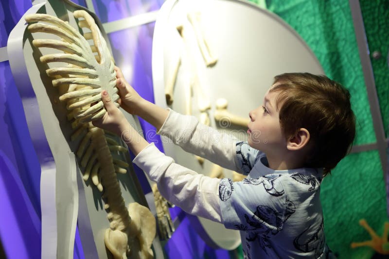 Niño que estudia la anatomía humana imagen de archivo libre de regalías Niño que estudia la anatomía humana imagen de archivo libre de regalías