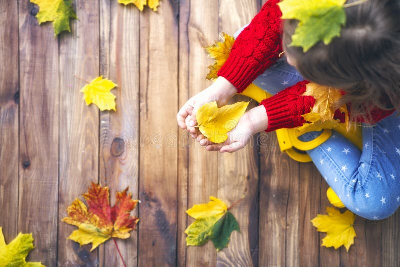 Niño que juega con las hojas de otoño imagenes de archivo Niño que juega con las hojas de otoño imagenes de archivo