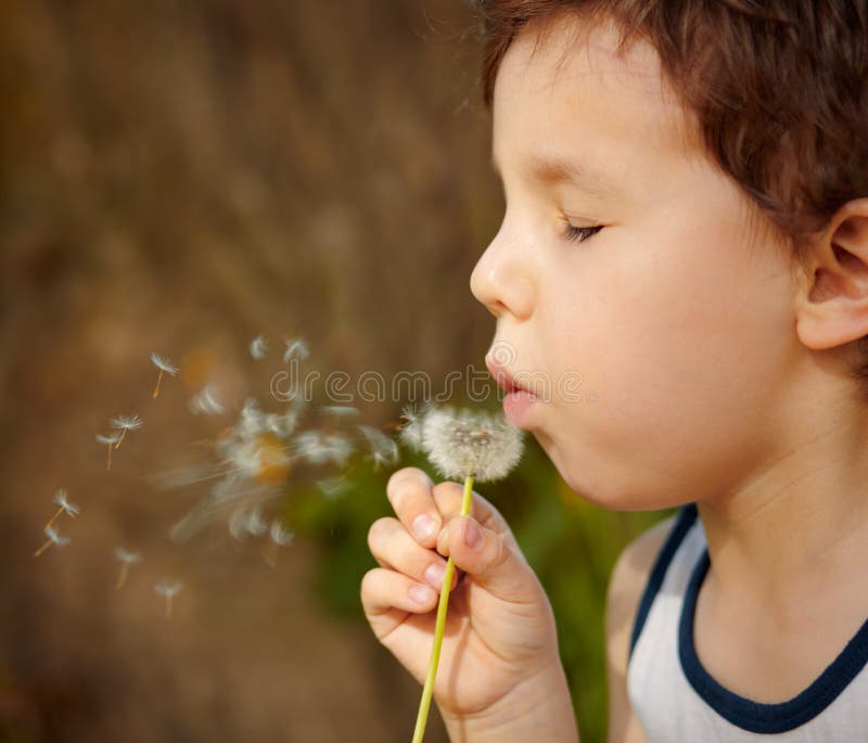 Niño que sopla un diente de león fotos de archivo libres de regalías Niño que sopla un diente de león fotos de archivo libres de regalías