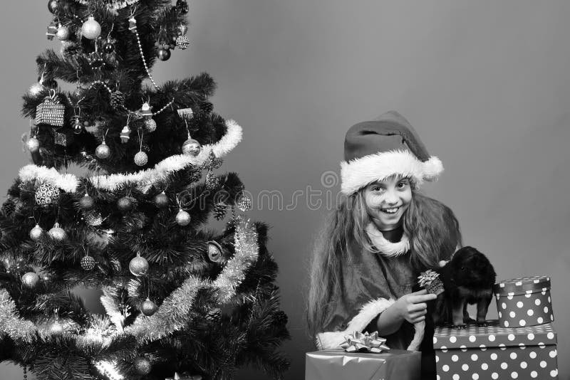 Niño y perro felices con el regalo de la Navidad cerca del árbol de Navidad fotos de archivo Niño y perro felices con el regalo de la Navidad cerca del árbol de Navidad fotos de archivo