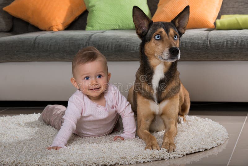 Niño y perro fornido que mienten en una sala de estar fotografía de archivo libre de regalías Niño y perro fornido que mienten en una sala de estar fotografía de archivo libre de regalías