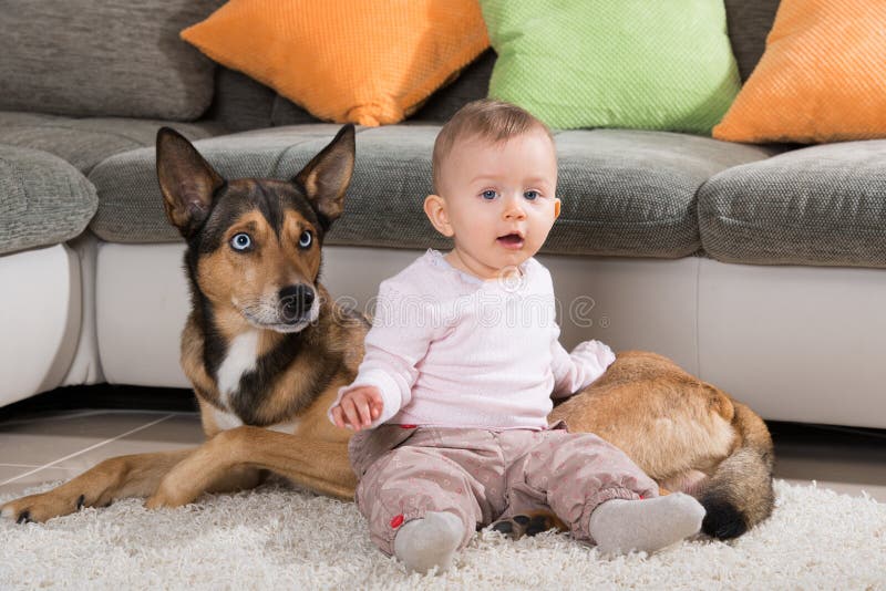 Niño y perro fornido que mienten en una sala de estar fotos de archivo Niño y perro fornido que mienten en una sala de estar fotos de archivo