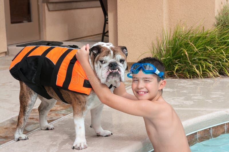 Kid and his pet bulldog playing near the pool. Kid and his pet bulldog playing near the pool