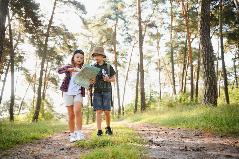 Niños exploradores en el bosque. foto de archivo