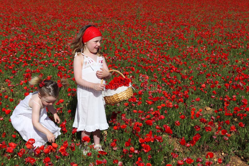 Niños felices que juegan las flores de la cosecha foto de archivo Niños felices que juegan las flores de la cosecha foto de archivo