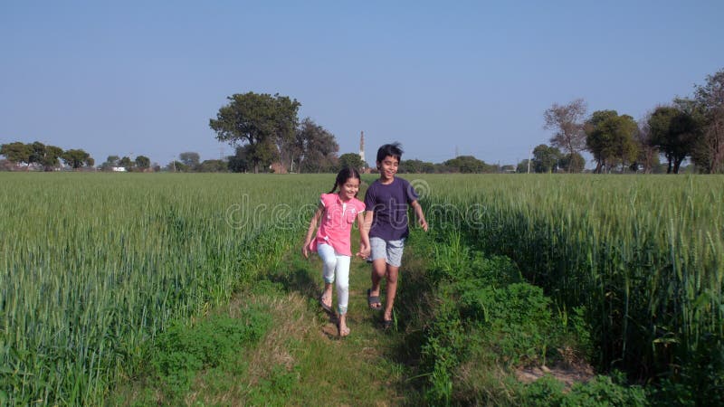 Niños pequeños felices disfrutando de pasear juntos en el campo agrícola verde juntos y vinculando una vida simple almacen de video
