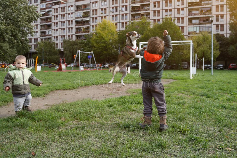 Niños pequeños que juegan con el perro imagen de archivo libre de regalías Niños pequeños que juegan con el perro imagen de archivo libre de regalías