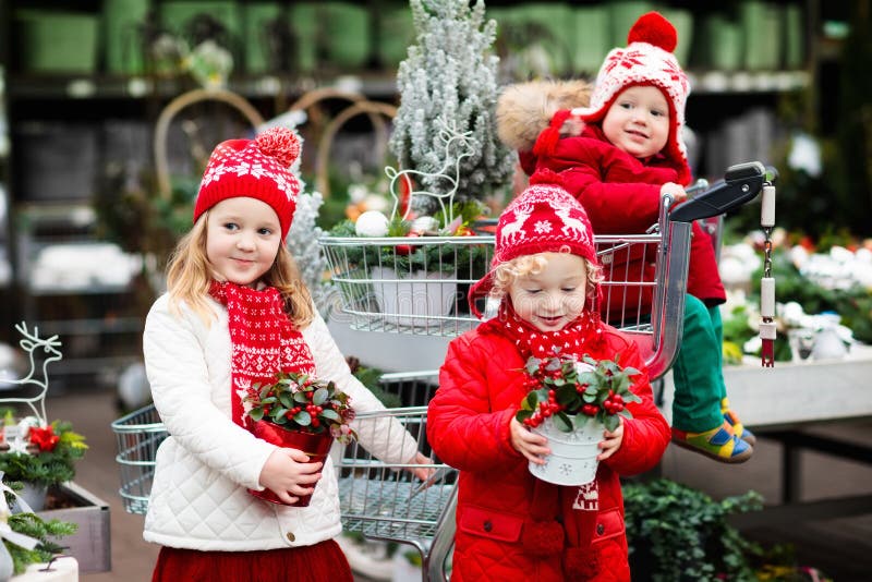 Niños que seleccionan el árbol de navidad El hacer compras de los regalos de Navidad foto de archivo Niños que seleccionan el árbol de navidad El hacer compras de los regalos de Navidad foto de archivo