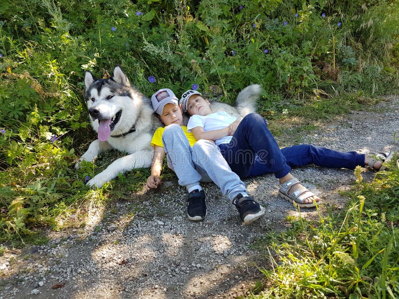 Niños y perro Malamut imagen de archivo Niños y perro Malamut imagen de archivo