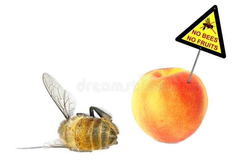 No bees - No Fruit