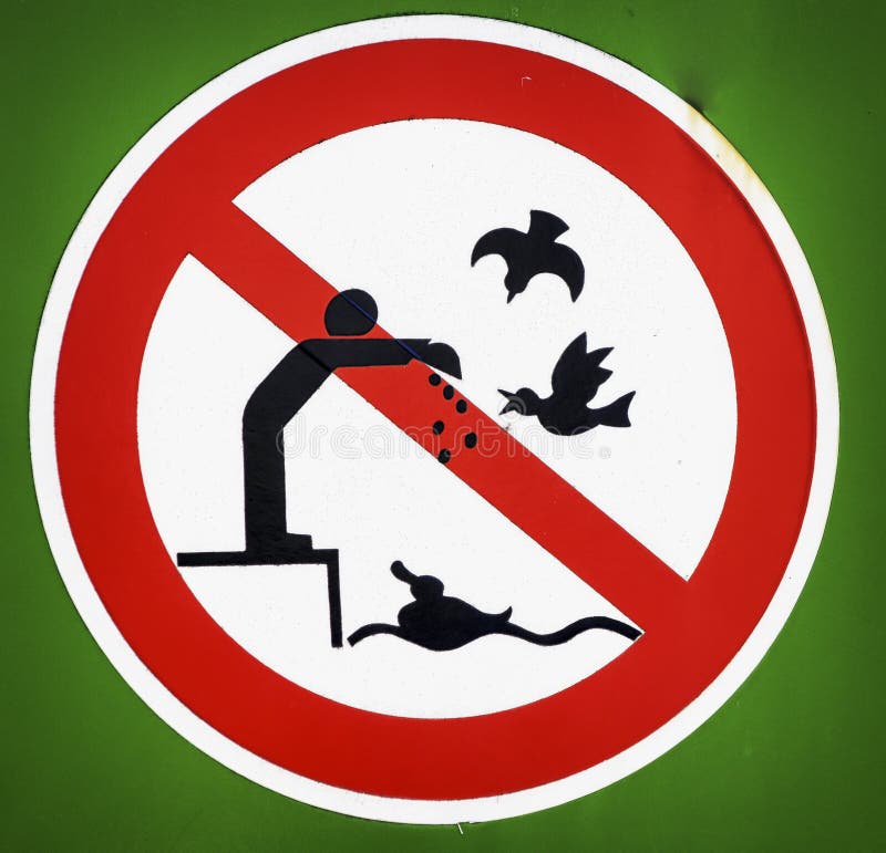 No bird feeding