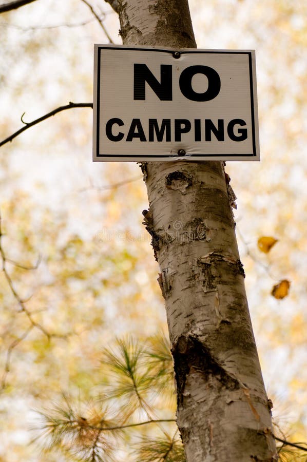 No Camping Sign royalty free stock photography
