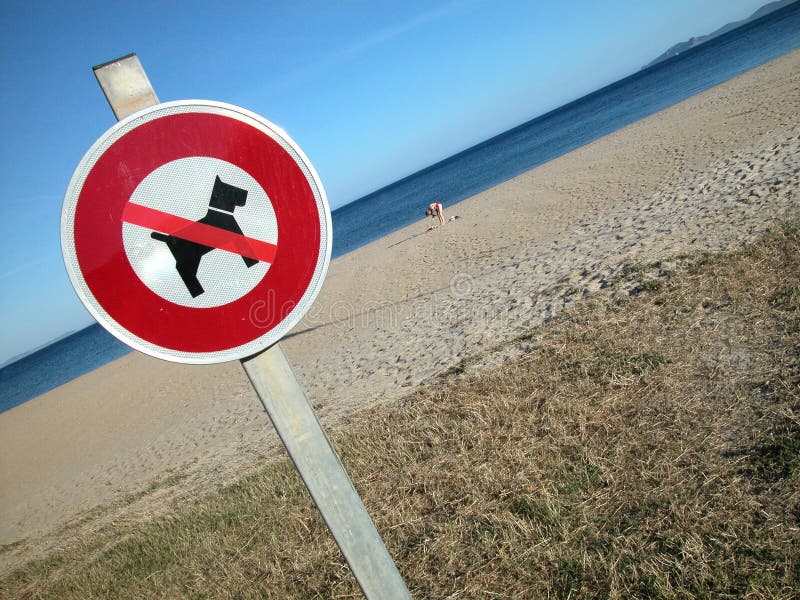 are dogs allowed at point beach