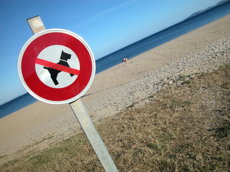 Are Dogs Allowed At Point Beach
