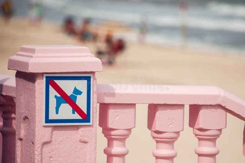 No Dogs Allowed on Beach Sign. Warning Information Stock Image Image