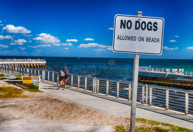 Are Dogs Banned On Beaches