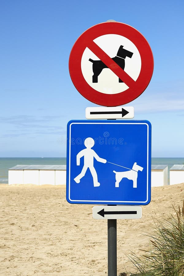 No Dogs on Beach and Dogs on Leash only Stock Photo Image of symbol