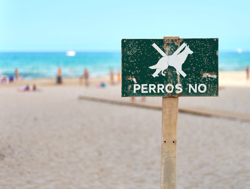 Are Dogs Banned On Beaches