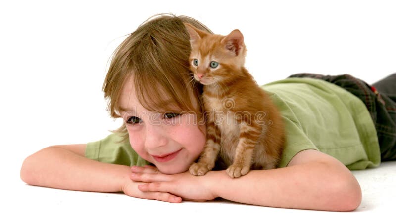 Rapaz em câmara lenta com gatinho vídeos de arquivo