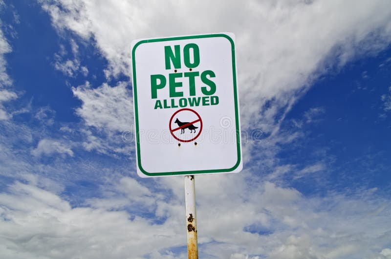 No pet sign stock photo. Image of road, animal, warning - 43472160