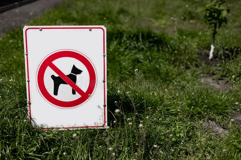 No Pets Allowed Sign in the Park with Green Grass. Stock Photo Image