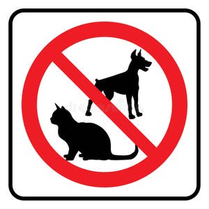Pet Signs No Pets Ubicaciondepersonas cdmx gob mx