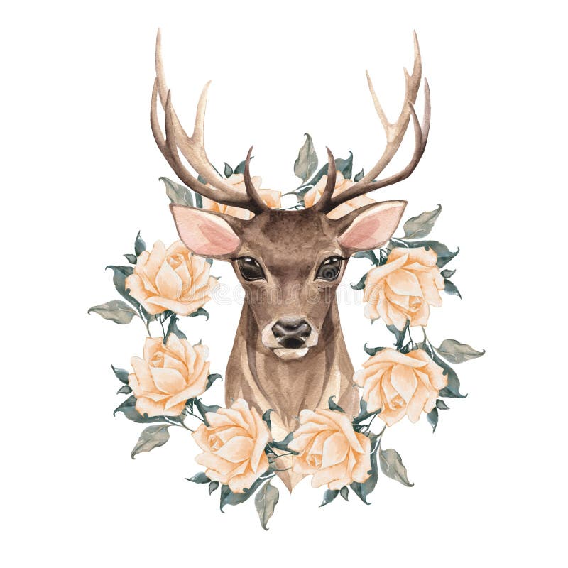 Noble deer with roses stock illustration. Illustration of drawing ...
