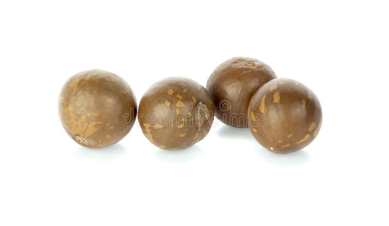 Noce di macadamia immagini stock libere da diritti