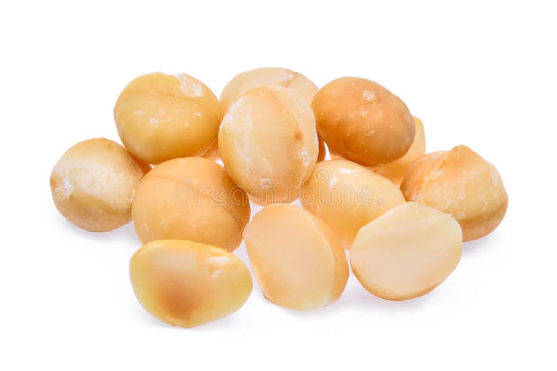 Noce di macadamia secca isolata su fondo bianco fotografie stock libere da diritti