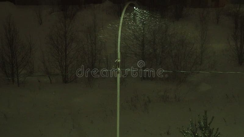 Noche nevada en el norte en invierno. los copos de nieve vuelan bajo una lámpara de calle. cambio del clima. ventisca
